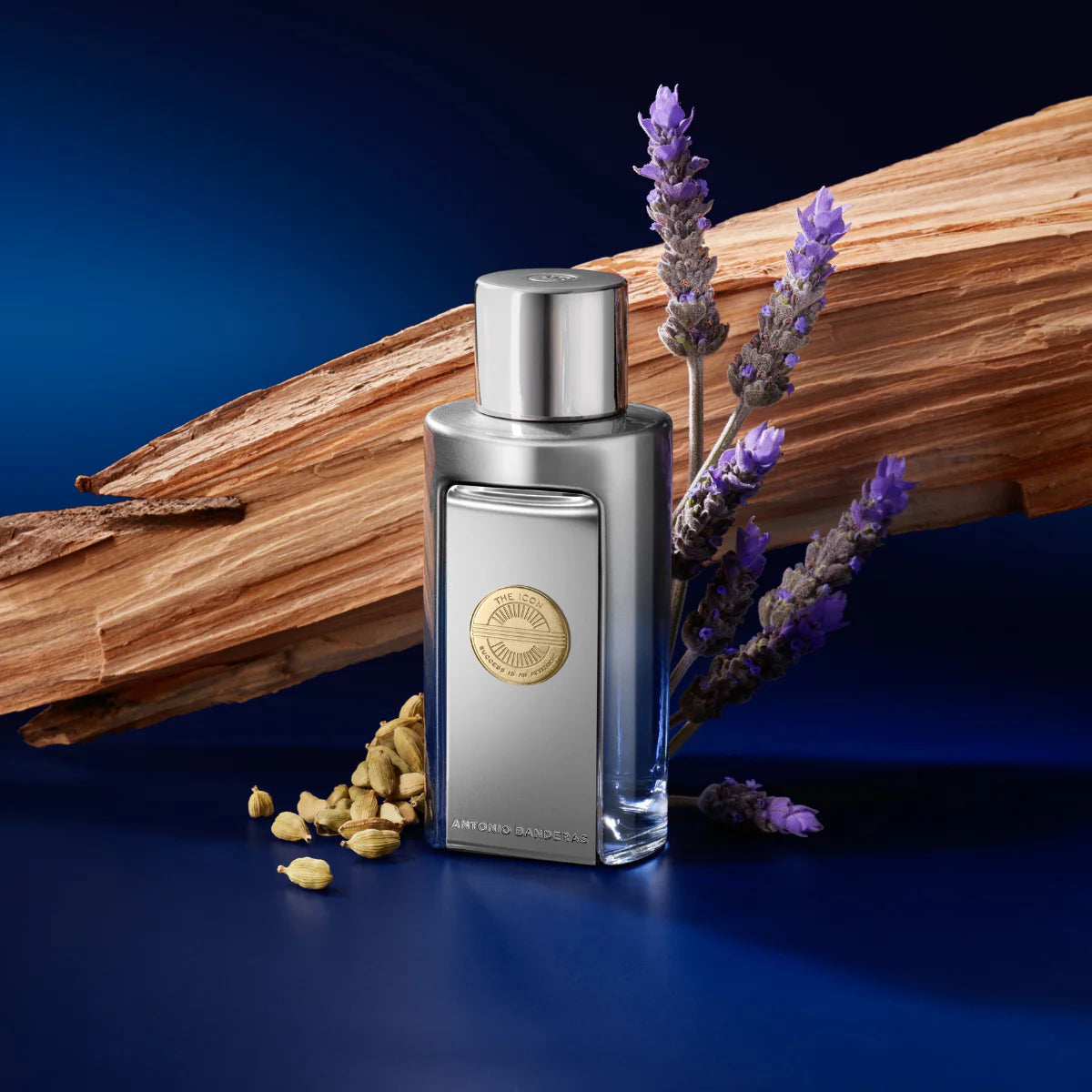 Perfume Masculino Antonio Banderas The Icon Elixir - Eau de Parfum - 100ml - Tester