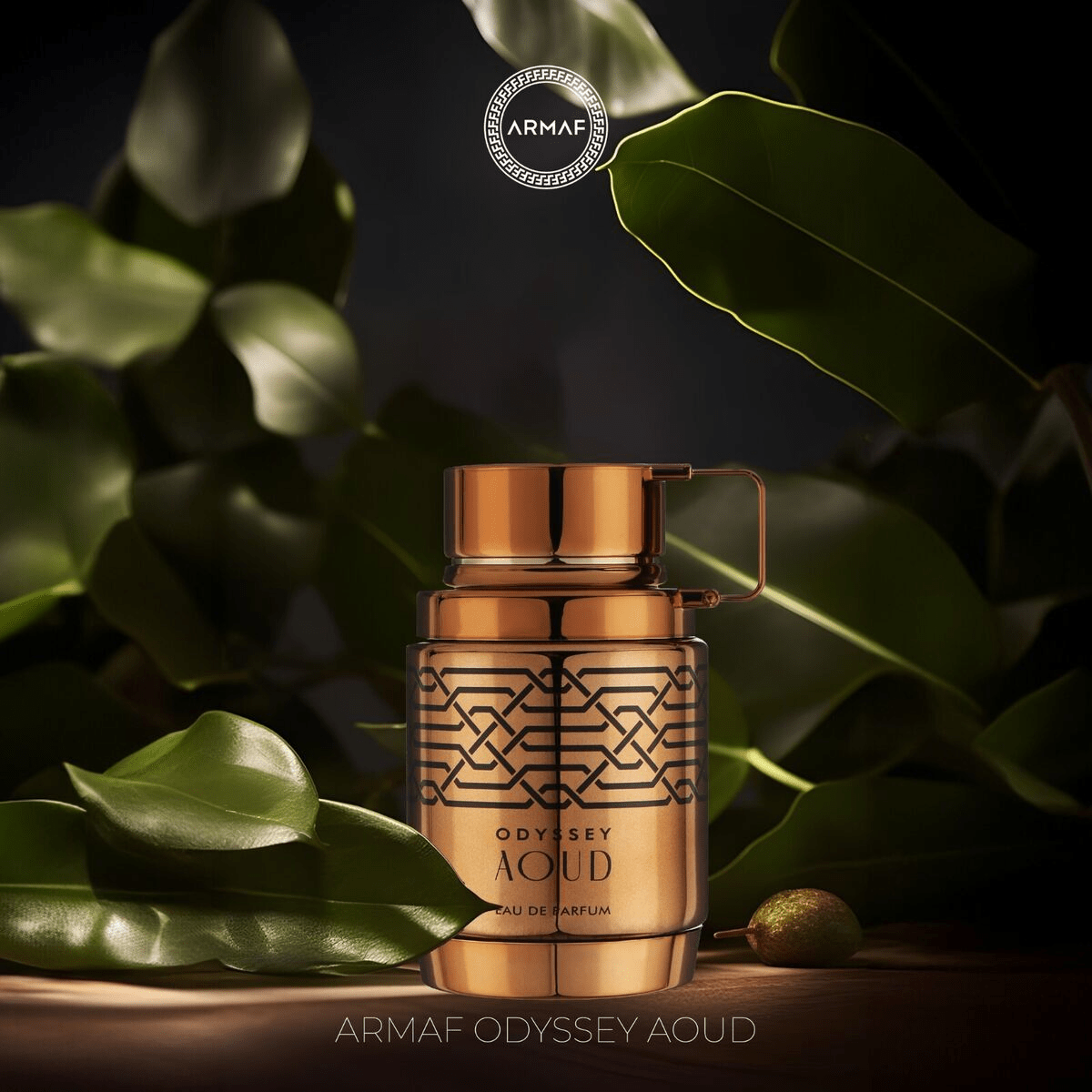 Perfume Masculino Armaf Odyssey Aoud - Eau de Parfum - 100ml