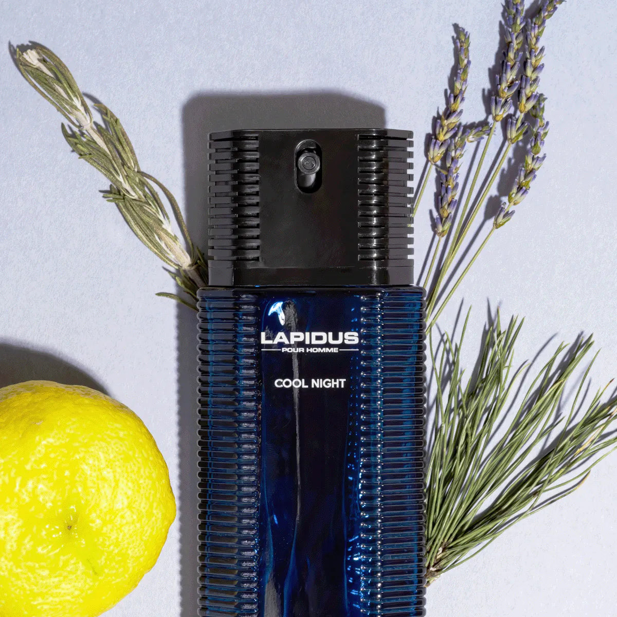 Perfume Masculino Ted Lapidus Cool Night - Eau de Parfum - 100ml