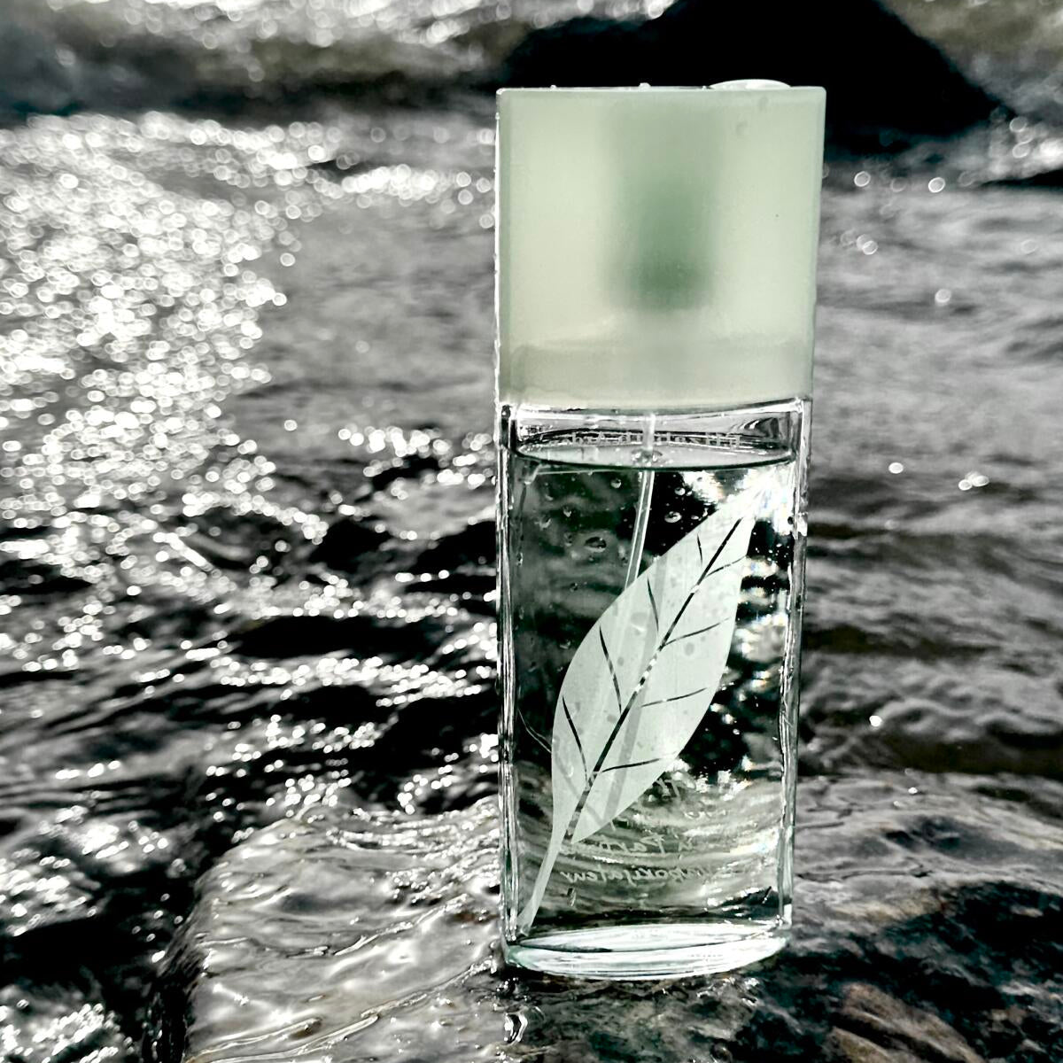 Perfume Femenino Elizabeth Arden Green Tea - Eau de Parfum - 100ml - Tester